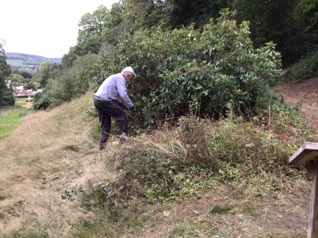 Doug tackling brambles 2 Sept